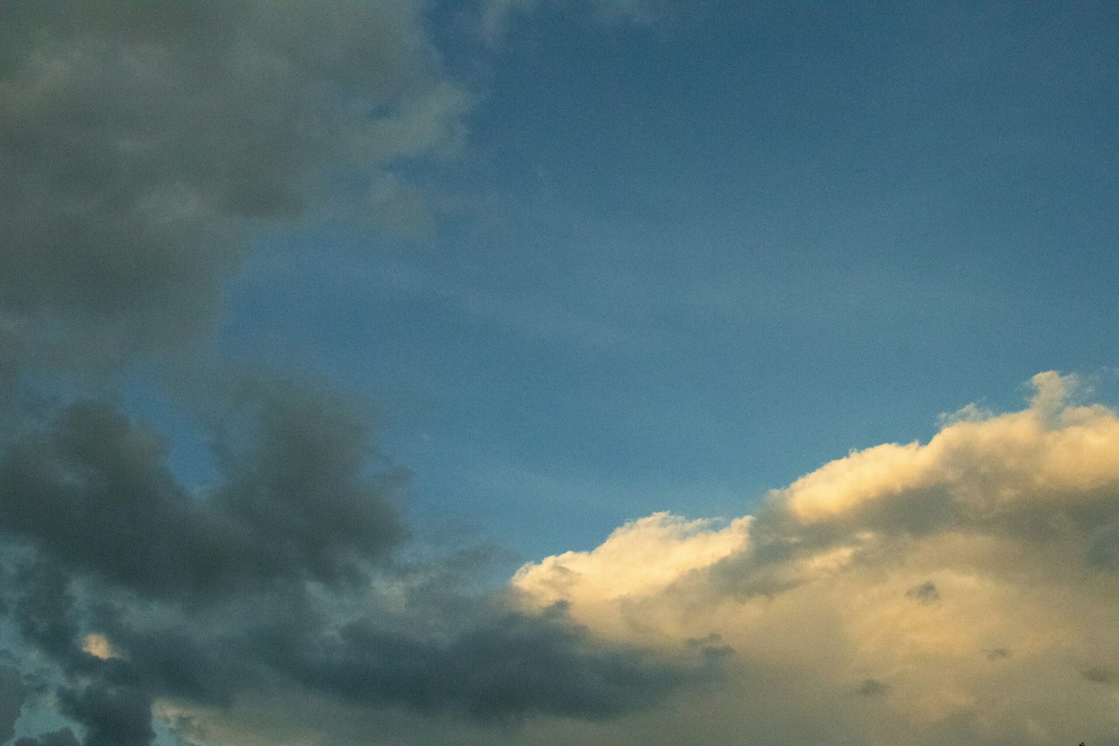 Exploring Microsoft Azure for Cloud Hosting Solutions