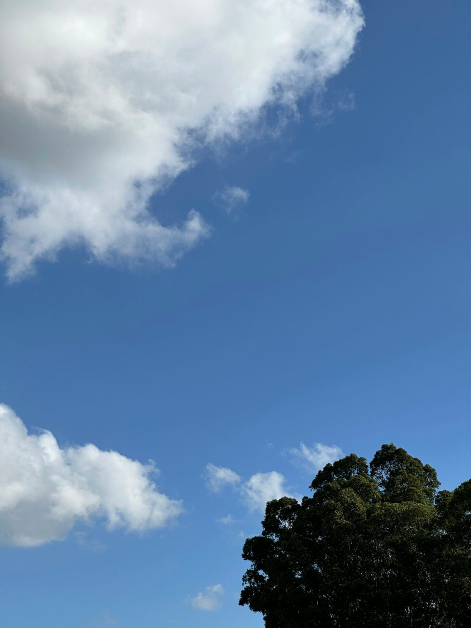 exploring microsoft azure for cloud hosting solutions 2 scaled