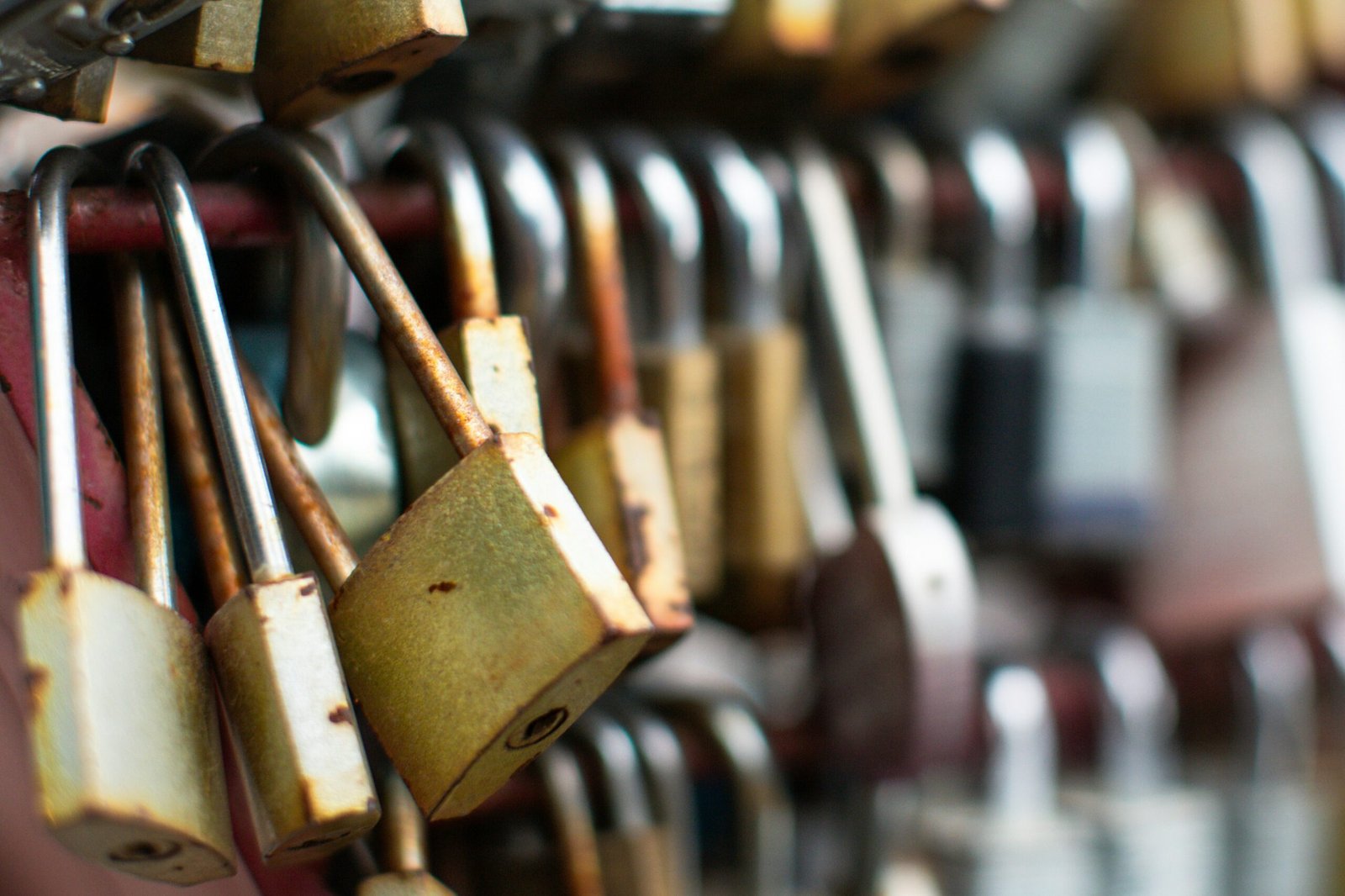 Exploring the Difference Between Security and Privacy