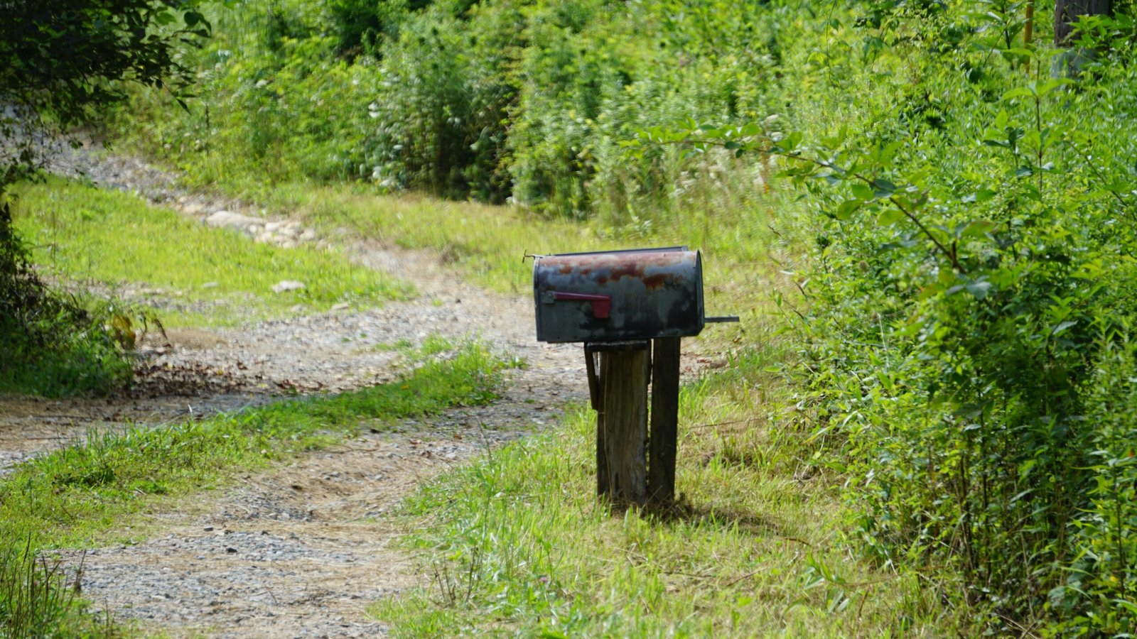 Cold Email Automation Software