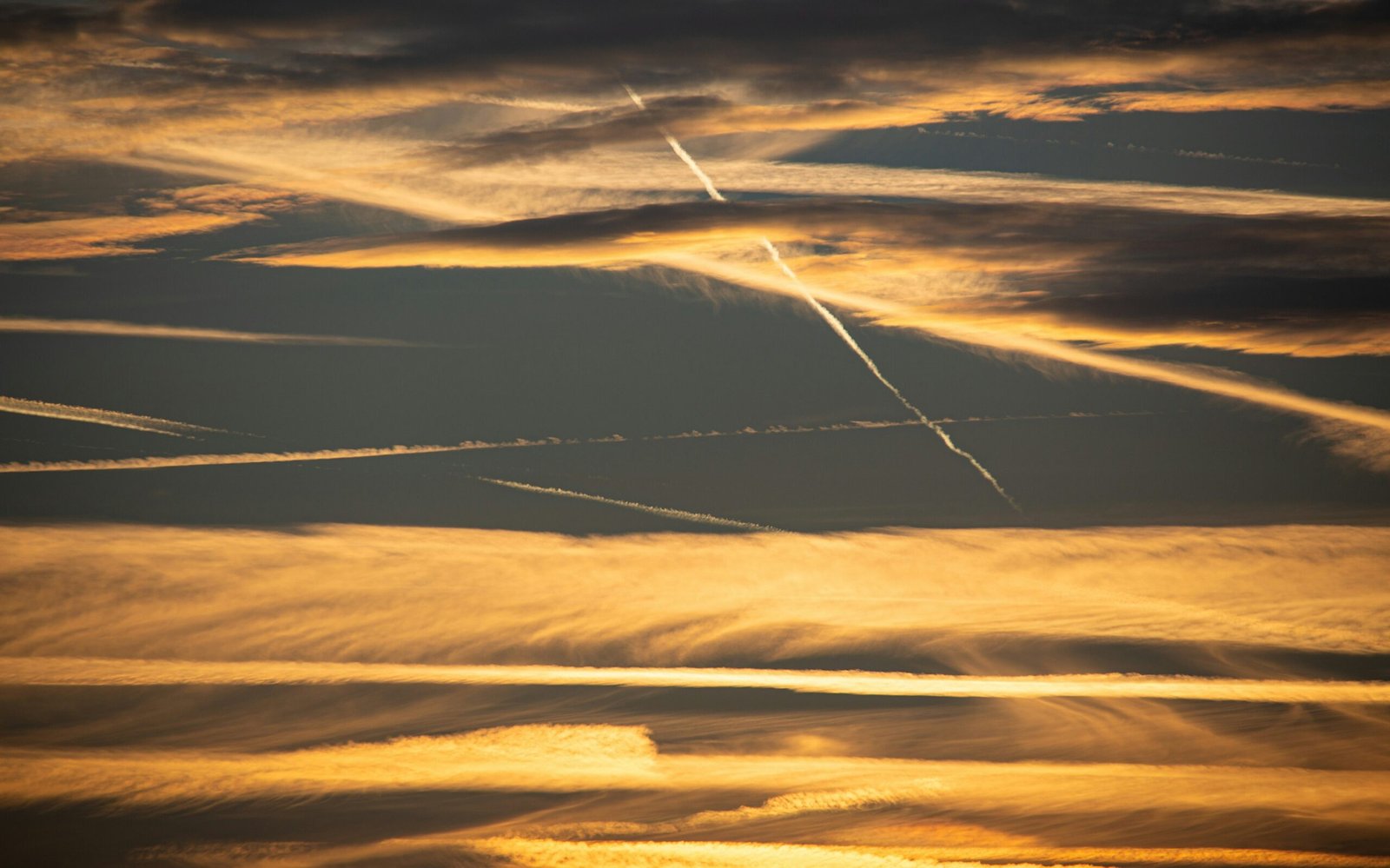 Exploring Career Opportunities in Cloud Hosting