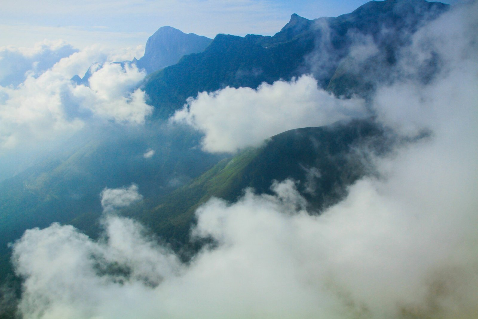 Exploring Innovative SaaS Examples
