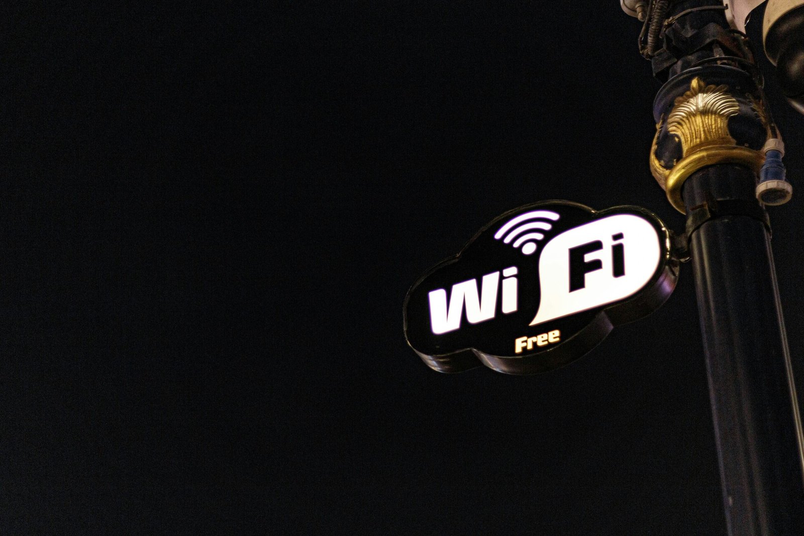 Exploring Web Hosting Options in Wix