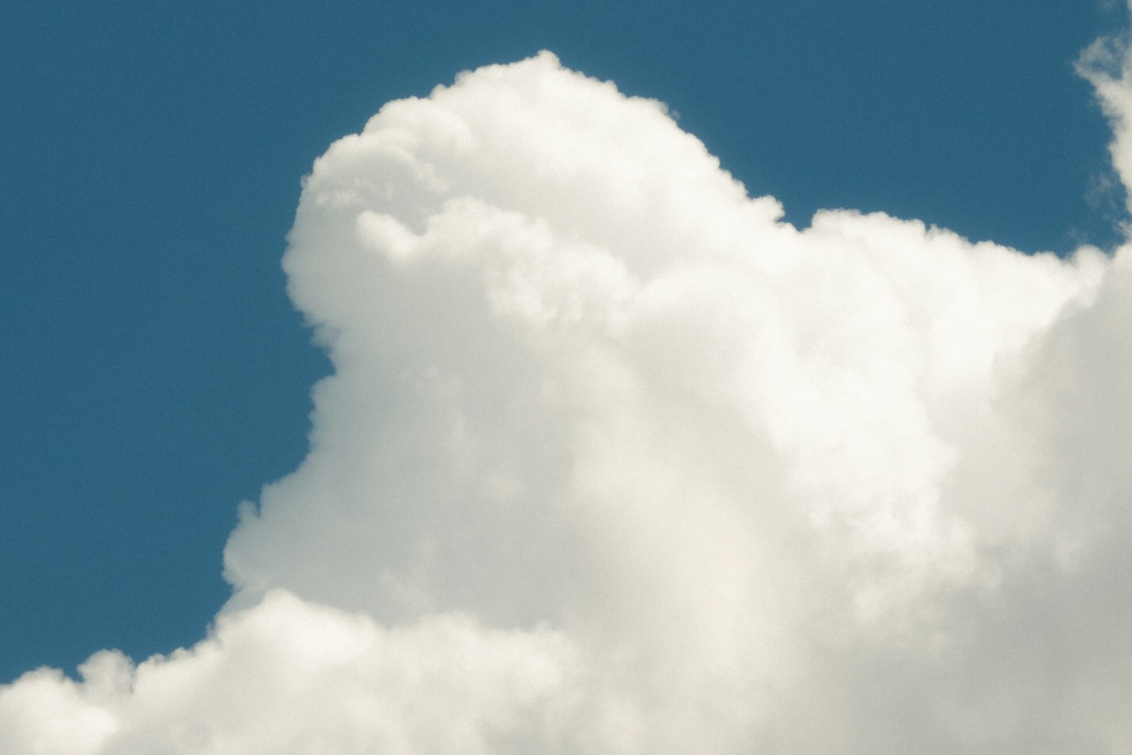 Harnessing the Power of Google Cloud for Web Hosting