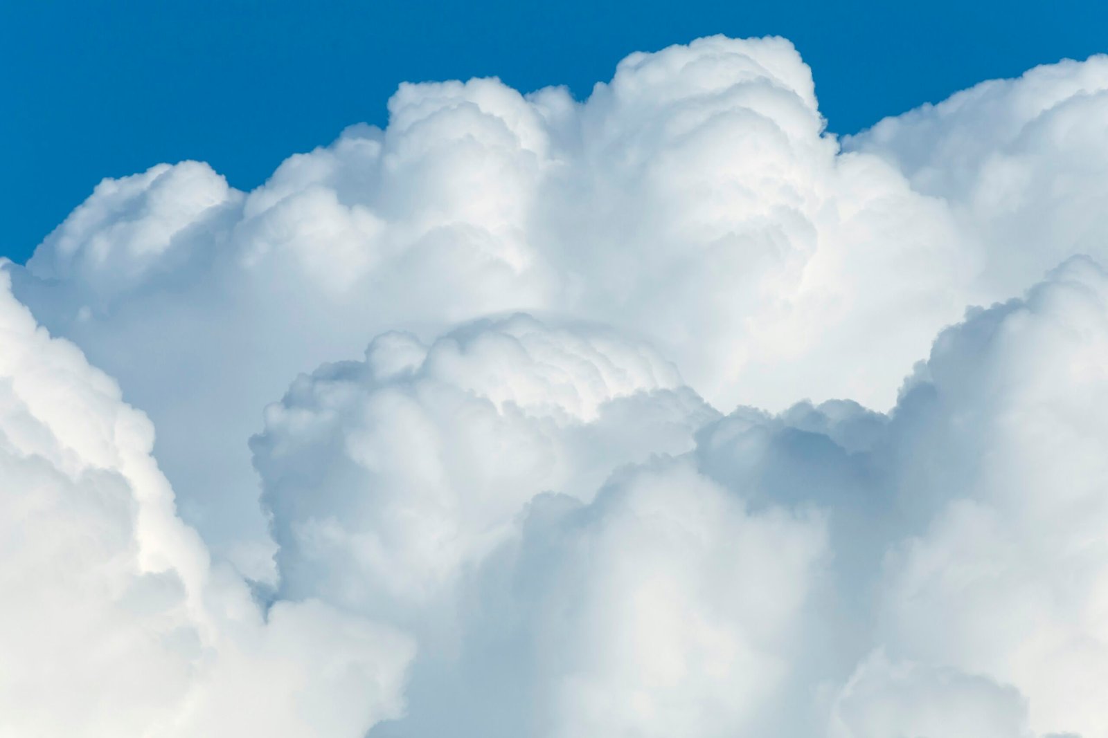 Harnessing the Power of Google Cloud for Web Hosting