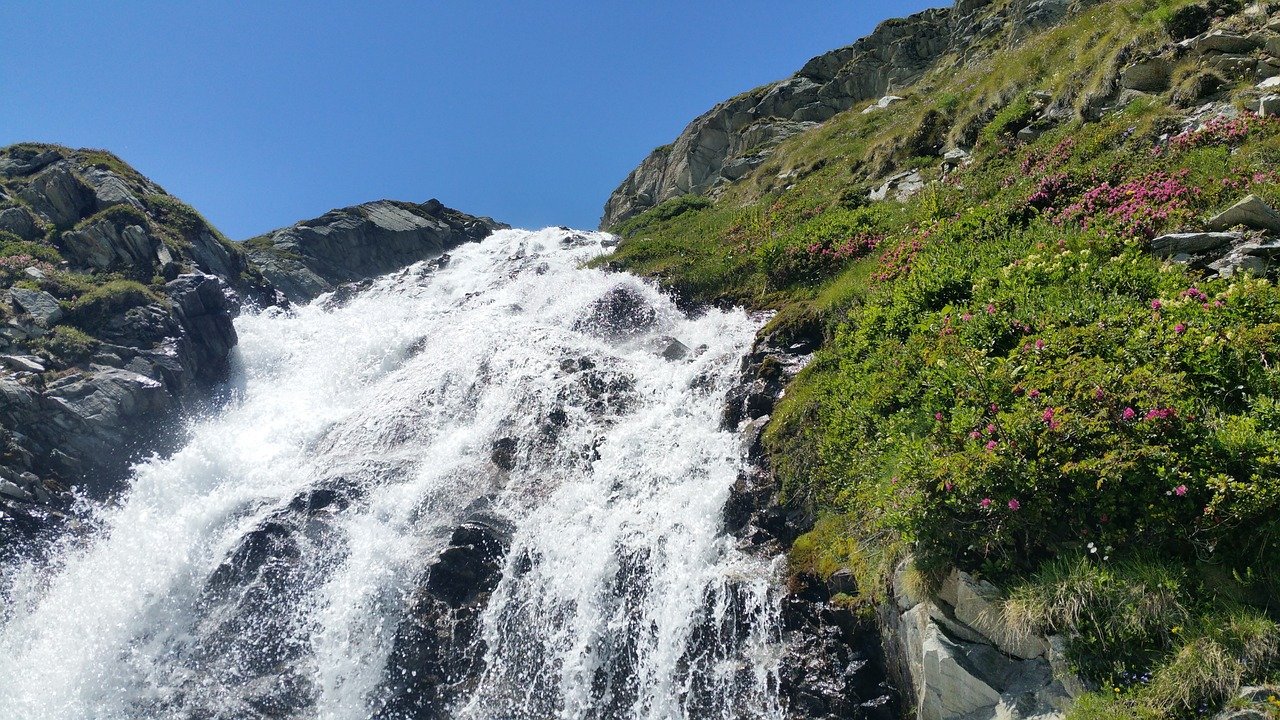 saas services transforming fee management in switzerland 2