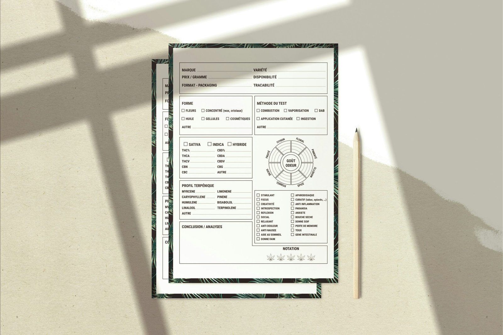 Understanding the Cost of SEO Audit