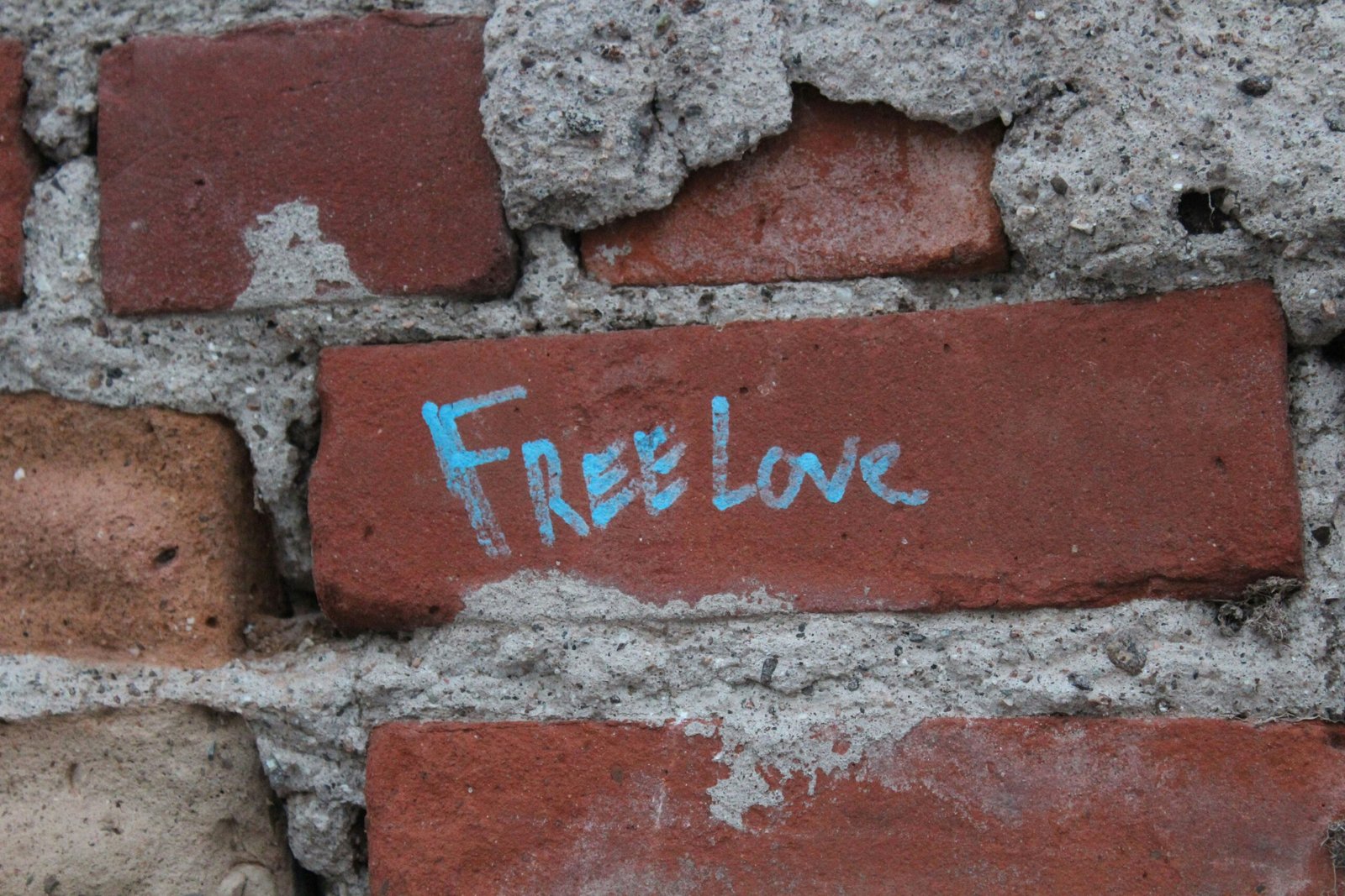 Unlocking the Potential of Free SaaS Tools